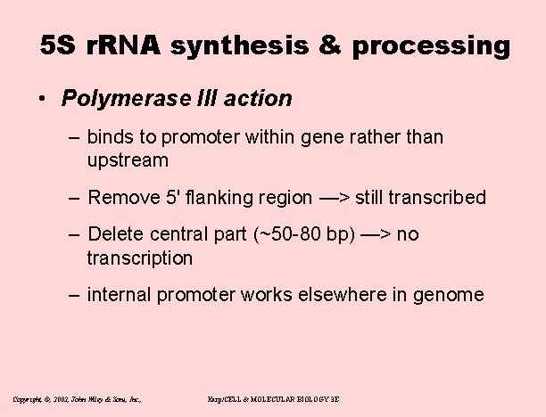 5 S r. RNA synthesis & processing • Polymerase III action – binds to