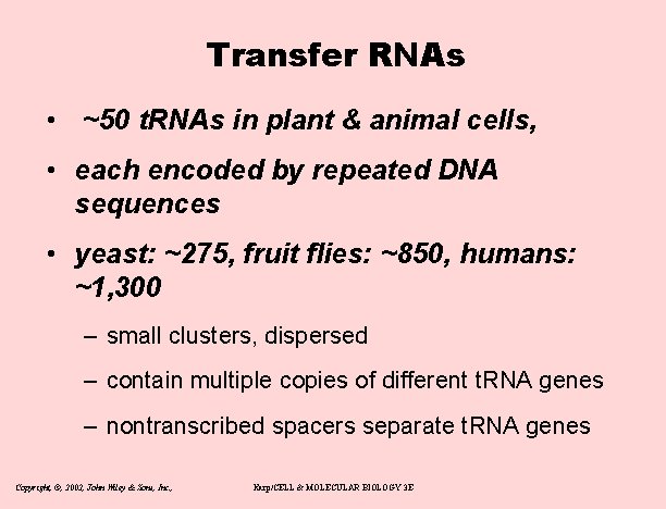 Transfer RNAs • ~50 t. RNAs in plant & animal cells, • each encoded