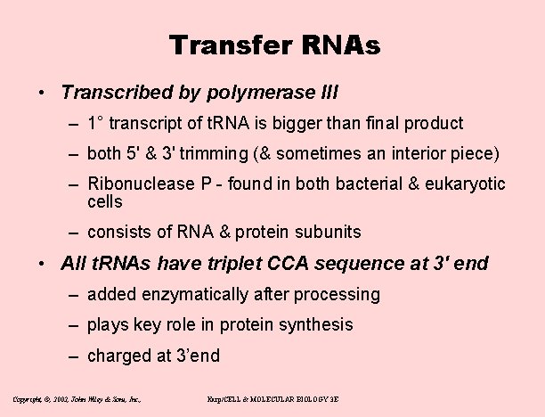 Transfer RNAs • Transcribed by polymerase III – 1° transcript of t. RNA is
