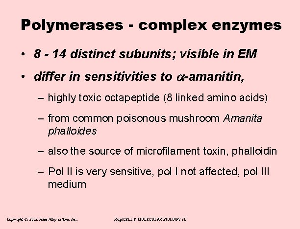 Polymerases - complex enzymes • 8 - 14 distinct subunits; visible in EM •