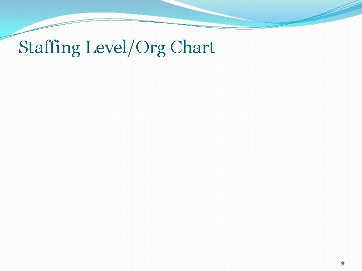 Staffing Level/Org Chart 9 