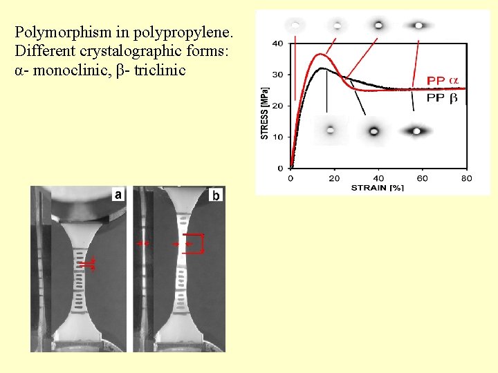 Polymorphism in polypropylene. Different crystalographic forms: α- monoclinic, β- triclinic 