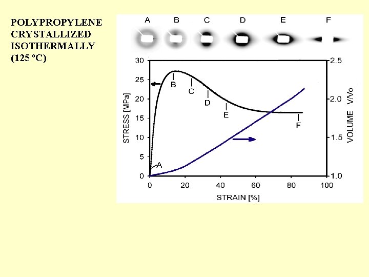 POLYPROPYLENE CRYSTALLIZED ISOTHERMALLY (125 o. C) 