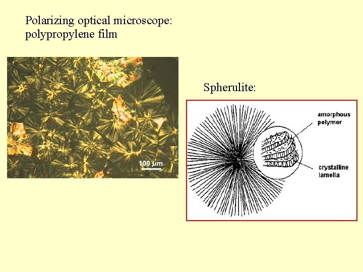 Polarizing optical microscope: polypropylene film Spherulite: 