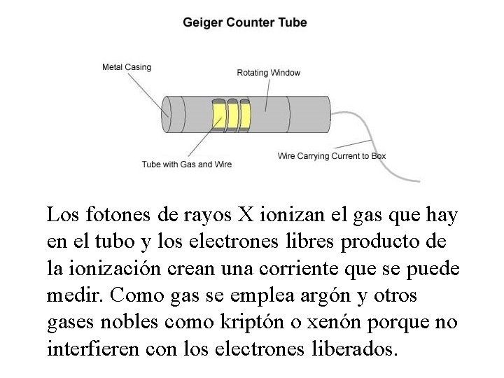 Los fotones de rayos X ionizan el gas que hay en el tubo y