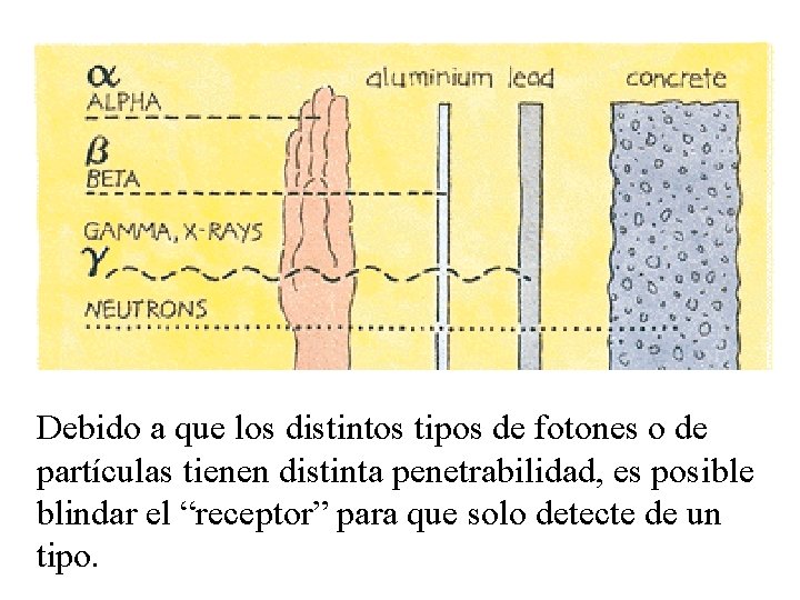 Debido a que los distintos tipos de fotones o de partículas tienen distinta penetrabilidad,