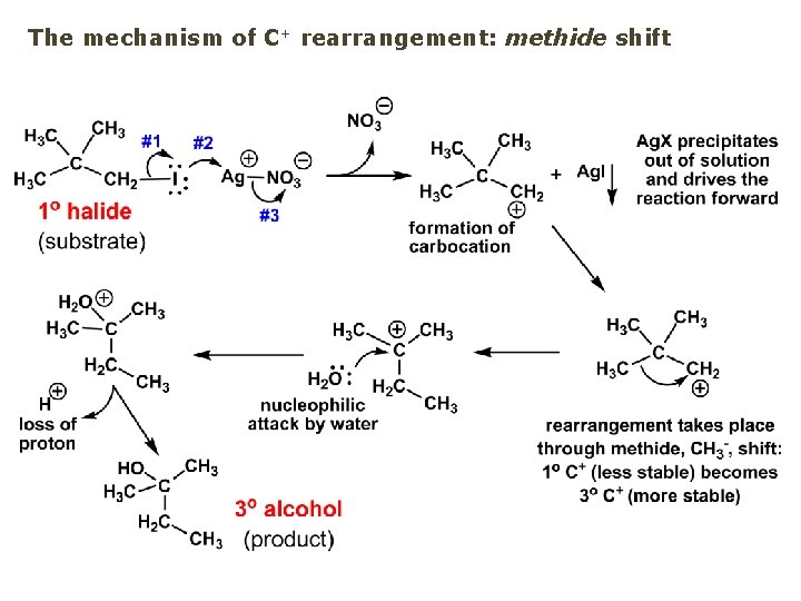 The mechanism of C+ rearrangement: methide shift 