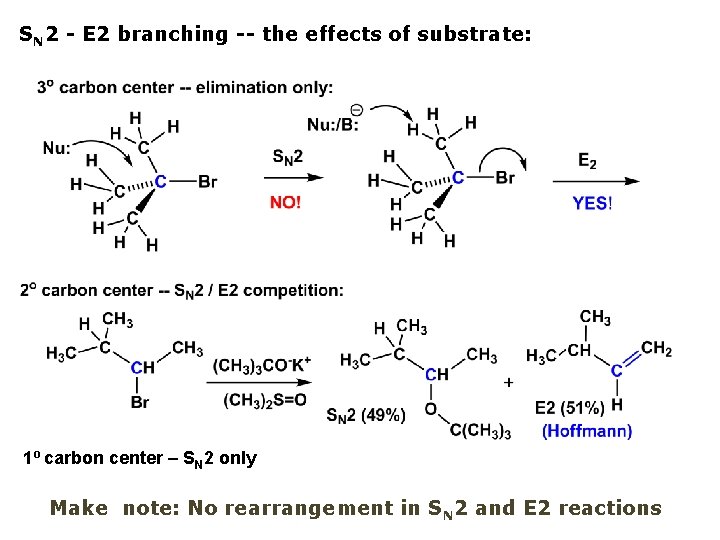 SN 2 - E 2 branching -- the effects of substrate: 1º carbon center