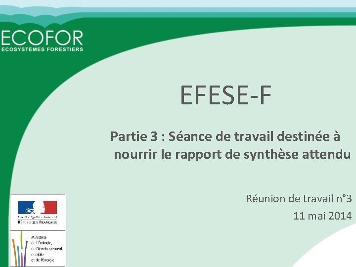 EFESE-F Partie 3 : Séance de travail destinée à nourrir le rapport de synthèse