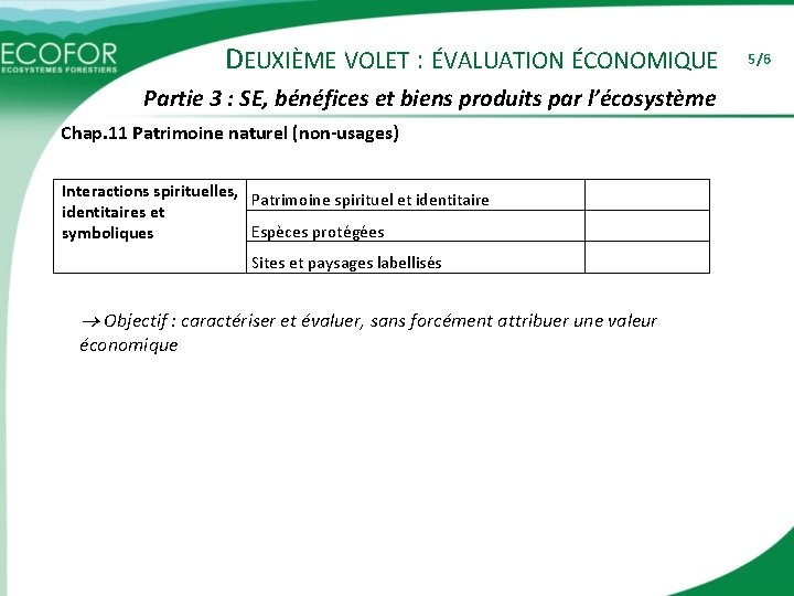 DEUXIÈME VOLET : ÉVALUATION ÉCONOMIQUE Partie 3 : SE, bénéfices et biens produits par