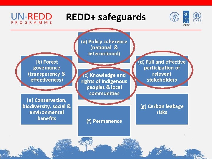 REDD+ safeguards (a) Policy coherence (national & international) (b) Forest governance (transparency & effectiveness)