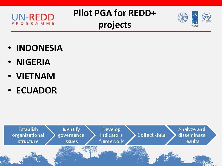 Pilot PGA for REDD+ projects • • INDONESIA NIGERIA VIETNAM ECUADOR Establish organizational structure