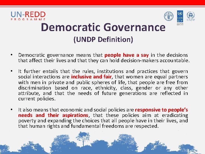 Democratic Governance (UNDP Definition) • Democratic governance means that people have a say in