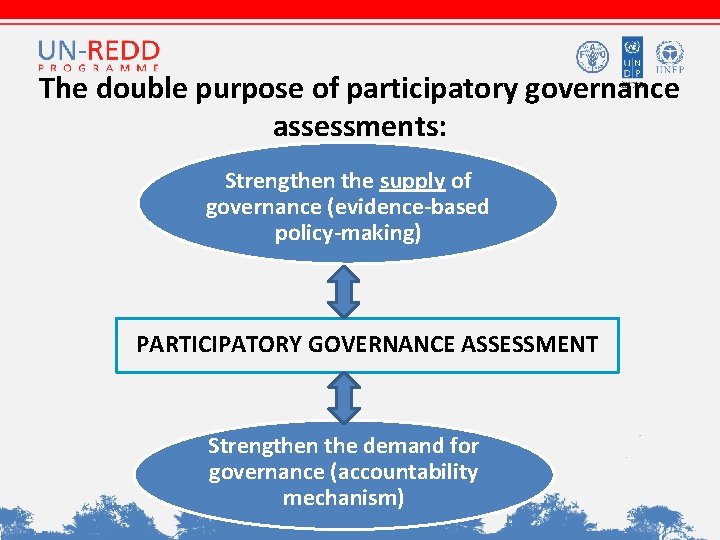 The double purpose of participatory governance assessments: Strengthen the supply of governance (evidence-based policy-making)