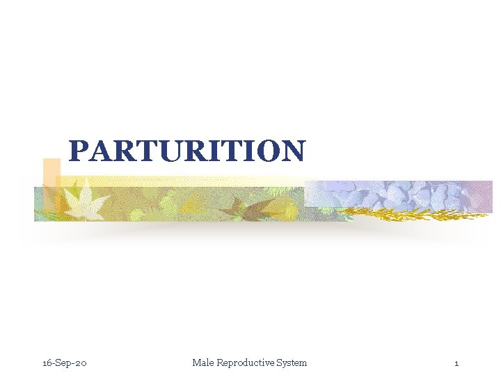 PARTURITION 16 -Sep-20 Male Reproductive System 1 