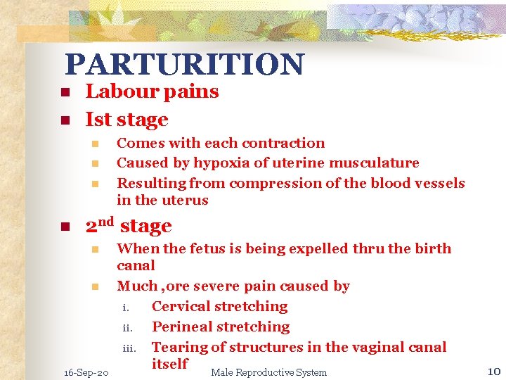 PARTURITION n n Labour pains Ist stage n n Comes with each contraction Caused