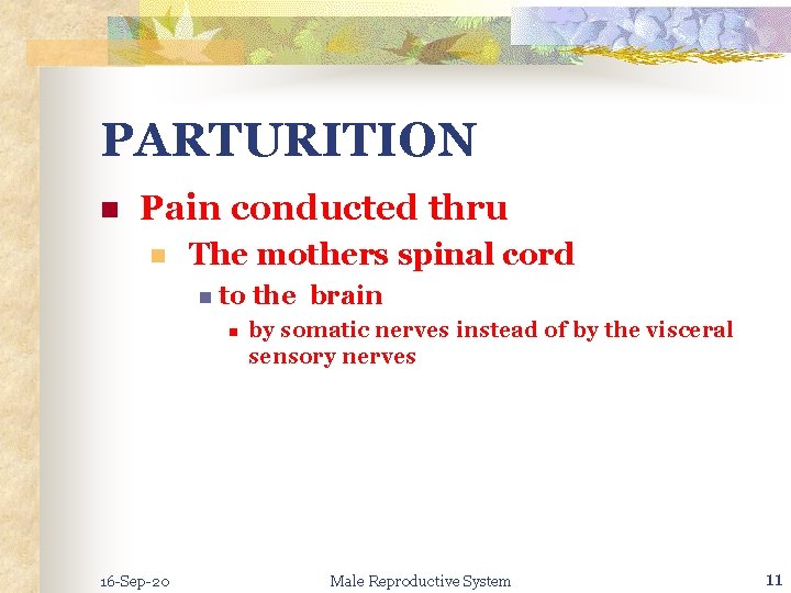 PARTURITION n Pain conducted thru n The mothers spinal cord n to n 16