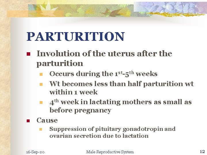 PARTURITION n Involution of the uterus after the parturition Occurs during the 1 st-5