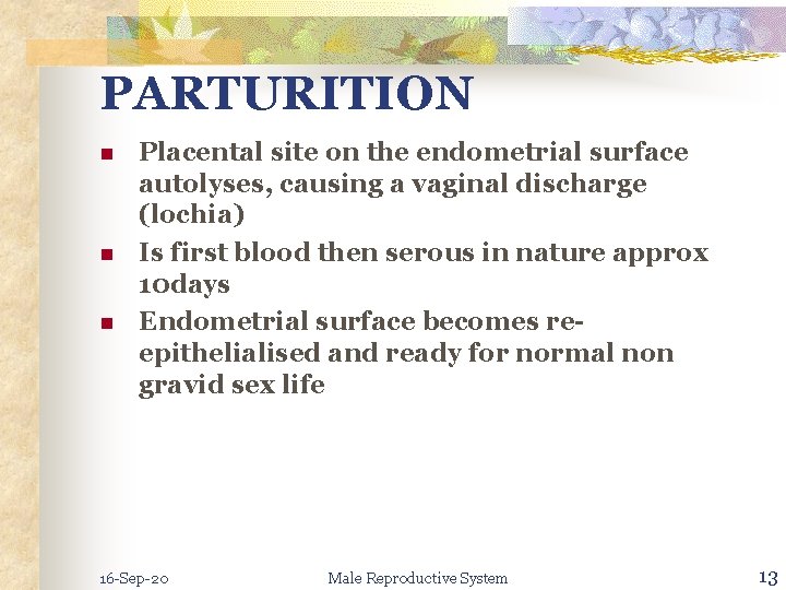 PARTURITION n n n Placental site on the endometrial surface autolyses, causing a vaginal
