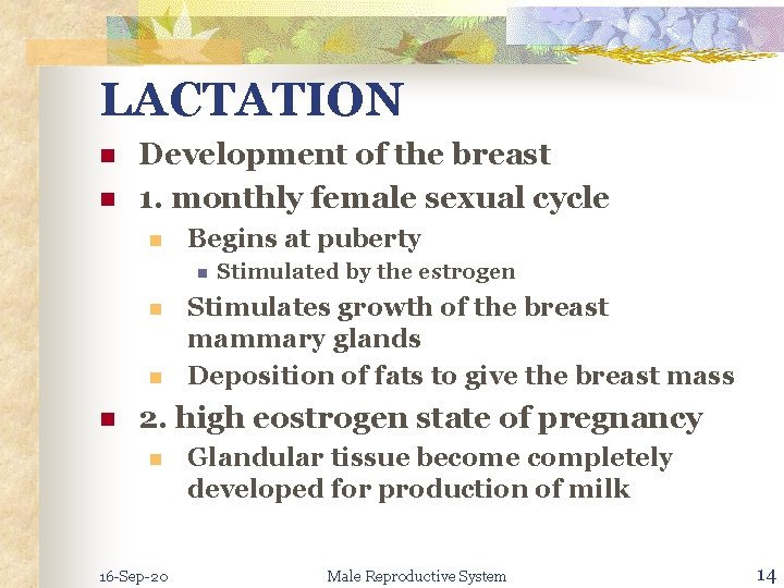 LACTATION n n Development of the breast 1. monthly female sexual cycle n Begins