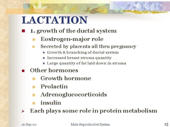 LACTATION n 1. growth of the ductal system n Eostrogen-major role n Secreted by