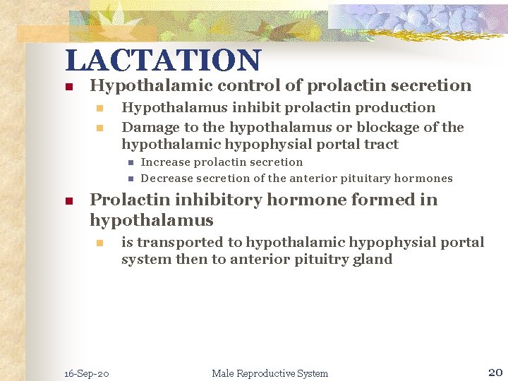 LACTATION n Hypothalamic control of prolactin secretion n n Hypothalamus inhibit prolactin production Damage