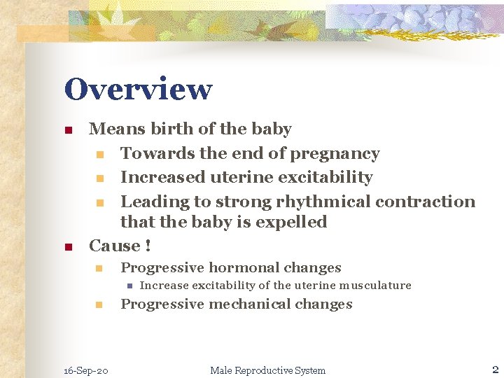 Overview n n Means birth of the baby n Towards the end of pregnancy