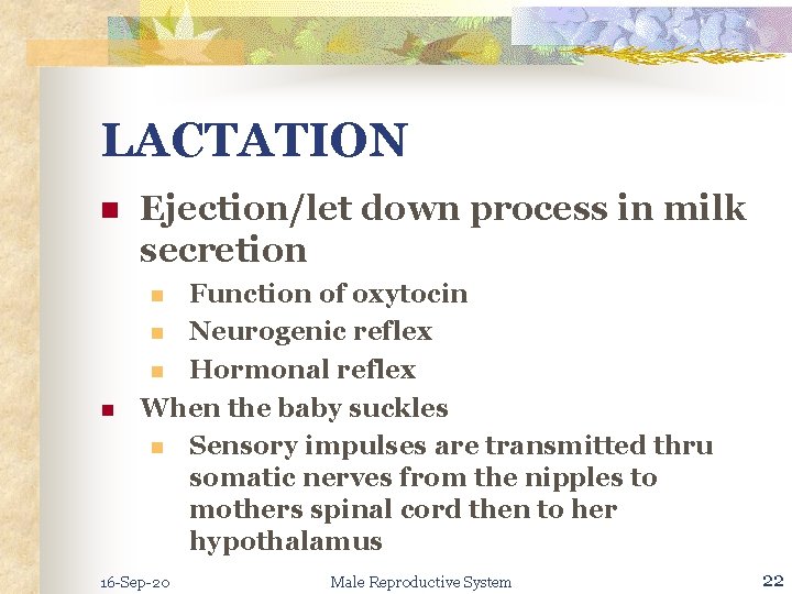 LACTATION n Ejection/let down process in milk secretion Function of oxytocin n Neurogenic reflex