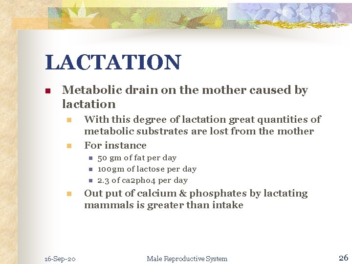 LACTATION n Metabolic drain on the mother caused by lactation n n With this