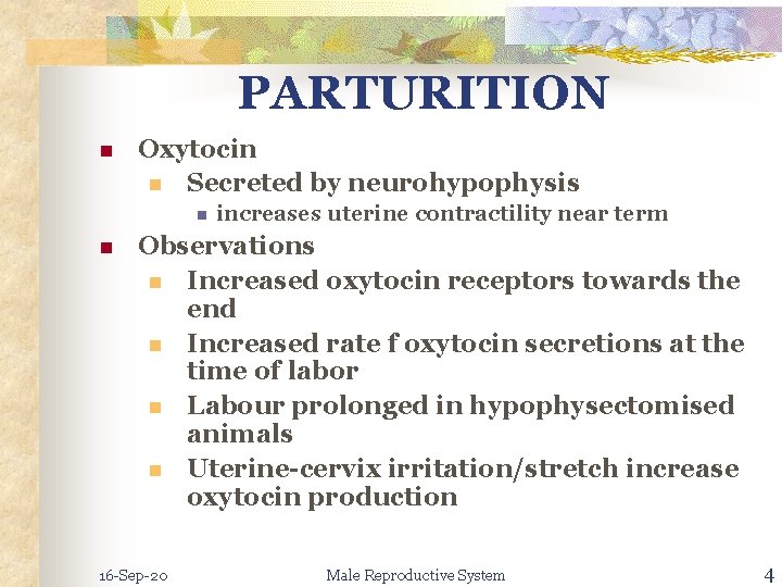 PARTURITION n Oxytocin n Secreted by neurohypophysis n n increases uterine contractility near term