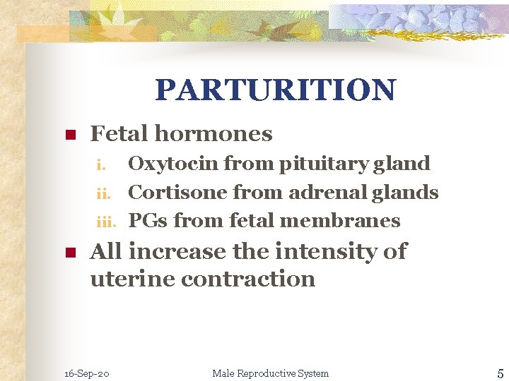 PARTURITION n Fetal hormones i. iii. n Oxytocin from pituitary gland Cortisone from adrenal