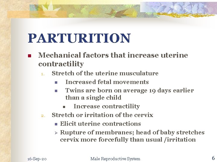 PARTURITION n Mechanical factors that increase uterine contractility 1. 2. 16 -Sep-20 Stretch of