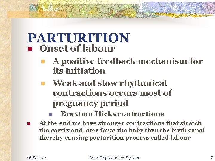 PARTURITION n Onset of labour A positive feedback mechanism for its initiation Weak and