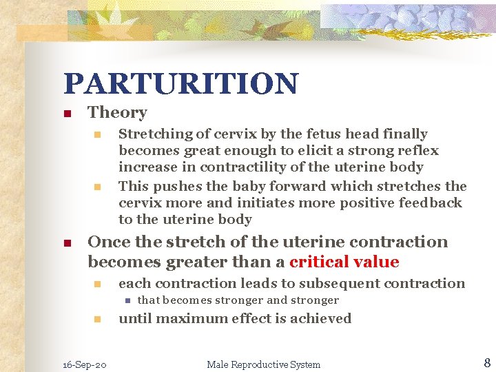 PARTURITION n Theory n n n Stretching of cervix by the fetus head finally
