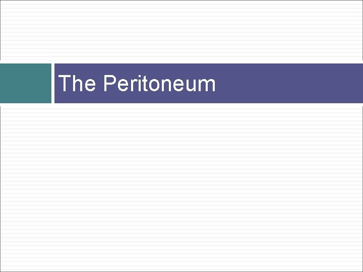 The Peritoneum 