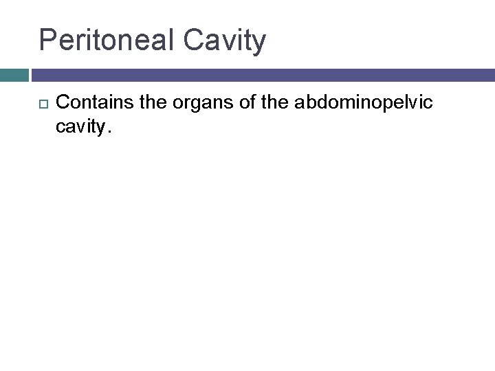 Peritoneal Cavity Contains the organs of the abdominopelvic cavity. 