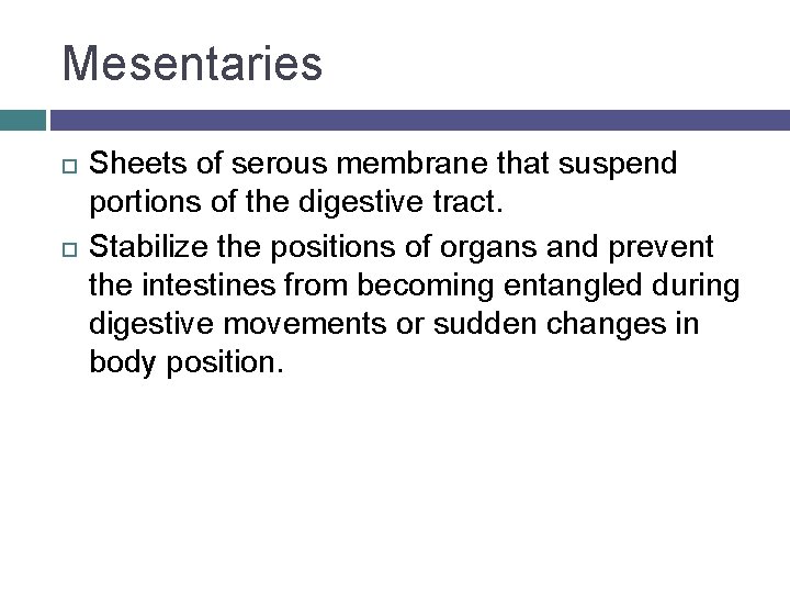 Mesentaries Sheets of serous membrane that suspend portions of the digestive tract. Stabilize the