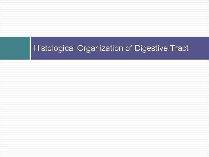 Histological Organization of Digestive Tract 