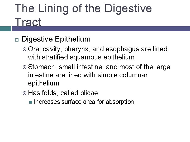 The Lining of the Digestive Tract Digestive Epithelium Oral cavity, pharynx, and esophagus are