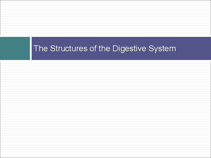 The Structures of the Digestive System 