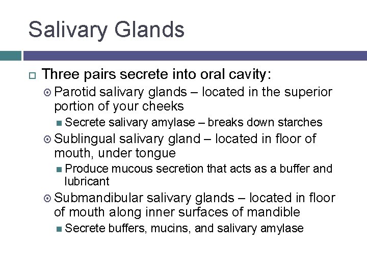 Salivary Glands Three pairs secrete into oral cavity: Parotid salivary glands – located in