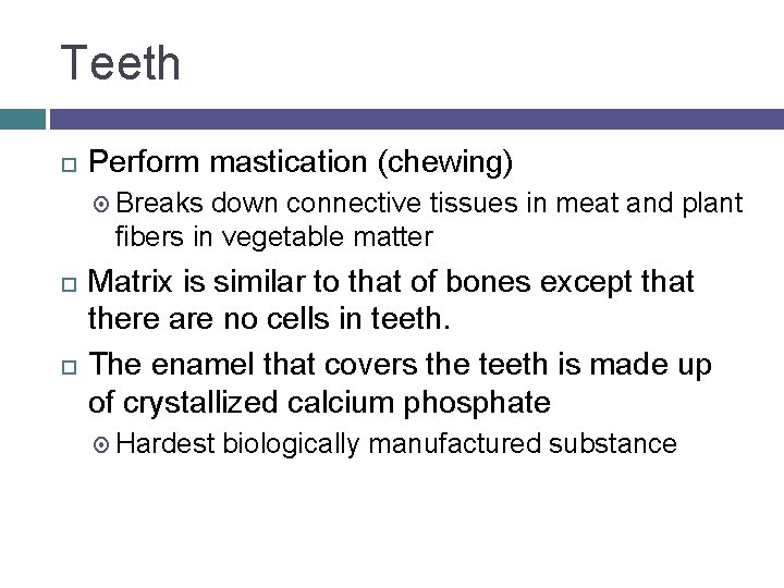 Teeth Perform mastication (chewing) Breaks down connective tissues in meat and plant fibers in
