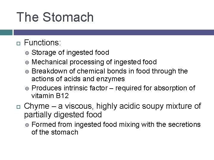 The Stomach Functions: Storage of ingested food Mechanical processing of ingested food Breakdown of