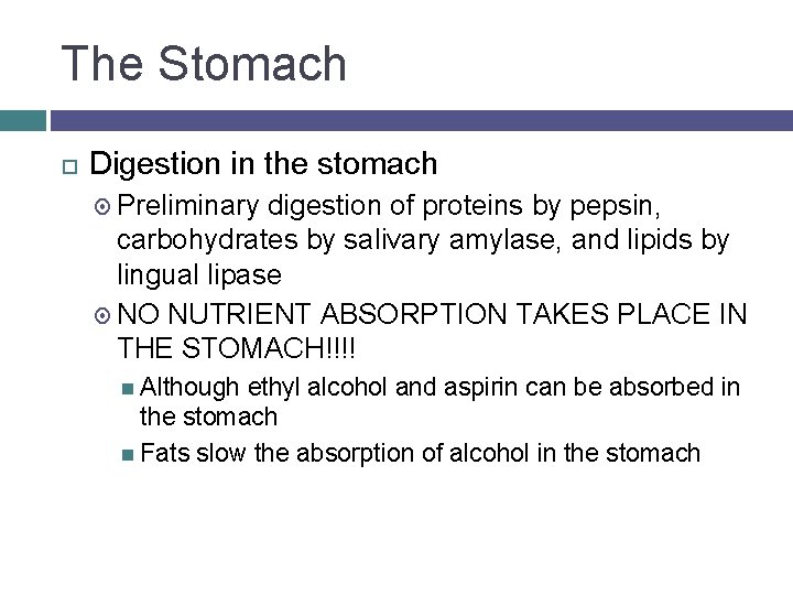 The Stomach Digestion in the stomach Preliminary digestion of proteins by pepsin, carbohydrates by