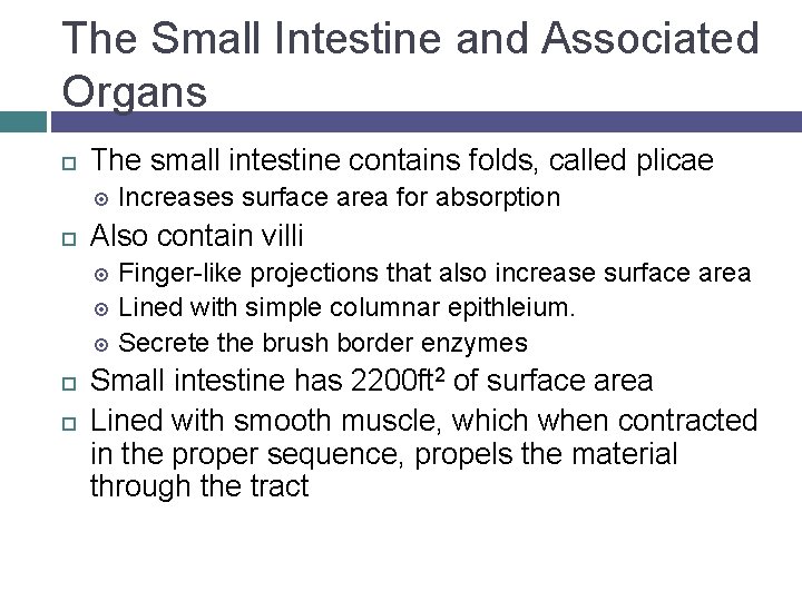 The Small Intestine and Associated Organs The small intestine contains folds, called plicae Increases