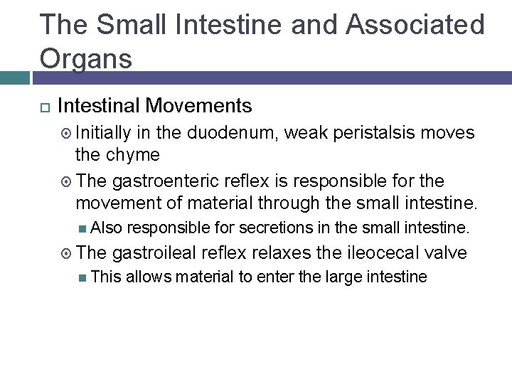 The Small Intestine and Associated Organs Intestinal Movements Initially in the duodenum, weak peristalsis