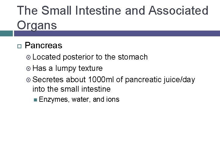 The Small Intestine and Associated Organs Pancreas Located posterior to the stomach Has a