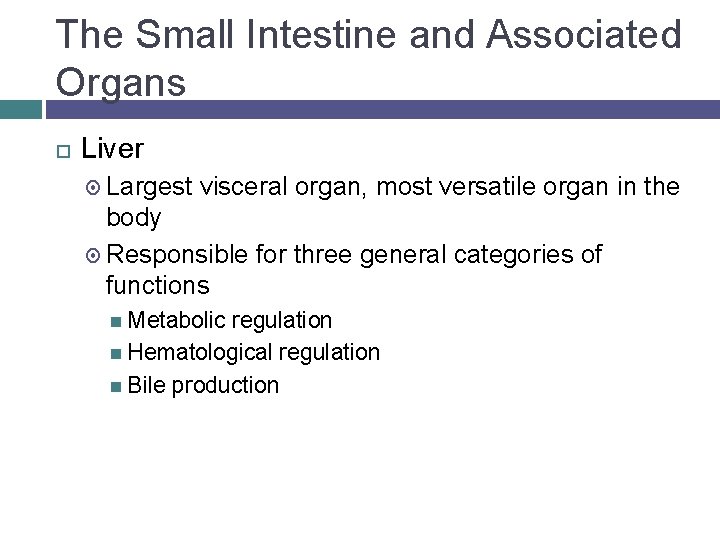 The Small Intestine and Associated Organs Liver Largest visceral organ, most versatile organ in