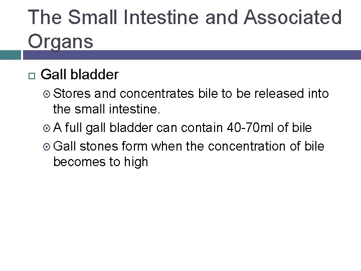 The Small Intestine and Associated Organs Gall bladder Stores and concentrates bile to be