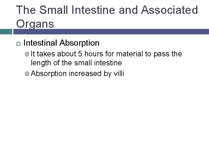 The Small Intestine and Associated Organs Intestinal Absorption It takes about 5 hours for